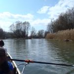 Insel in der Mosoni Donau 2016