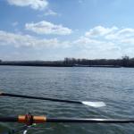 Riesenfrachter auf der Donau 2016