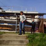 Ruderer in Mohacs Donau 2016