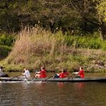 Drachenboot Rudercup Jusos ausser takt 2016