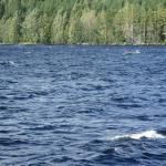 E-Zweier in den wellen finnland 2016