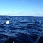 orivesi undendliche weiten finnland 2016