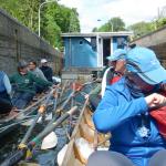 Ruderboote in Schleuse Havelquelle 2016