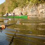 Dreier Budweis Tyn Moldau 2016