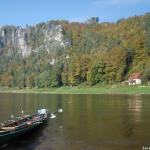 Rudervierer vor Bastei Elbe 2016