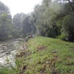 Dschungel im Regen Stettin 2016