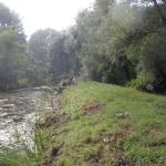 Dschungel im Regen Stettin 2016