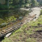 Vierer im Dschungel Stettin 2016