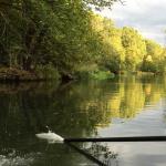 Hauptspree Spreewald 2016