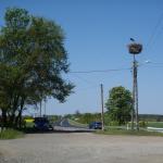 Landdienst mit Storch Warthe 2016