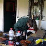 Rollsitze reparieren Maer 2017