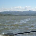 Donau Djerdap Ruderboote 2017