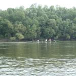 Ruderboot auf der Donau 2017