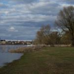 Coswig Ziel Elbemarathon 2017