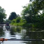 Schleuse am Finowkanal Ruderer 2017