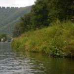 Berg mit Baummuster Maas 2017