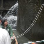 LingLing in der Schleuse Maas 2017