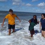 Meeresbrandung Holland 2017