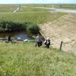 bis fast ans Meer Holland 2017