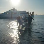 Ausheben in Punta Sabbioni 2017