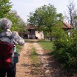 Balkan Bauernhof 2017