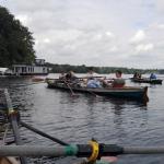 Ruderboote vor Lindwerder Schulrudern 2017