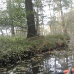 Ruderboot im Spreewald 2017