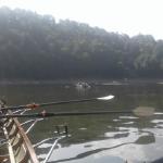 Ruderboote Bleilochtalsperre 2018