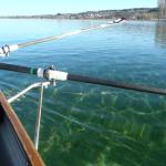 klares Wasser Bodensee 2018