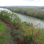 44921162_1997078943719989_906085288814575616_n