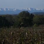 45011748_2002576003170283_4184502579687849984_n