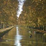 Platanenkanal du Midi 2018
