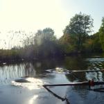 Mueggelspree Dahme Spree 2018