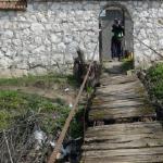 Bruecke ins Paradies Donaufahrt 2018