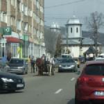 Pferdewagen in der Stadt Donaufahrt 2018