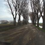 Sandstrasse nach Murasu Donaufahrt 2018