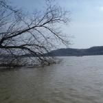 Vierer auf der Donau 2018