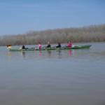 vorschriftsmaessig mit Bundesflagge Donaufahrt 2018