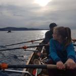 Ruderboote auf Suedkurs Kroatien 2018