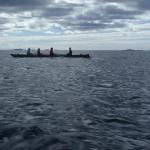 Inrigger vor den letzten Schaeren 2018