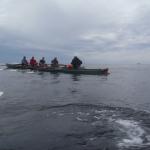 Ruderboot auf dem Skaggerak 2018