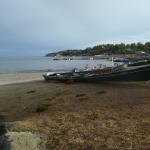 Ruderboote Stavern 2018