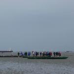 Ruderer auf dem Osteriff 2018