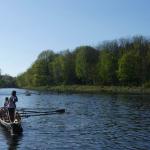 Boote beim probe rudern Kleinmachnow 2018