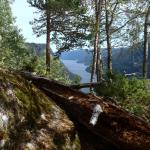 Bandak von oben 2018