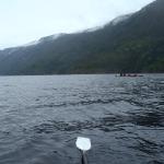 Ruderboote auf dem Telemarkkanal 2018