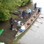 auch der Vierer ist endlich in Hoya Weser 2018
