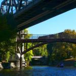 Ruderer auf dem Landwehrkanal Wiking 2018