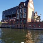 Haus an der Spree 2019