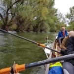 Graeben im Donaudelta 2019